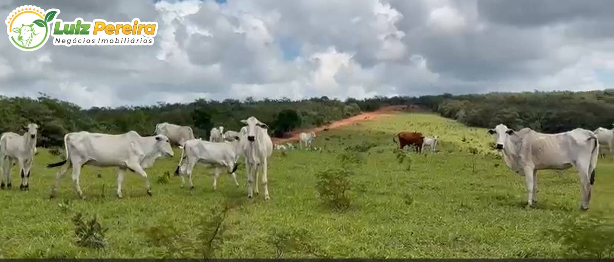 Terreno, 1006 m² - Foto 4