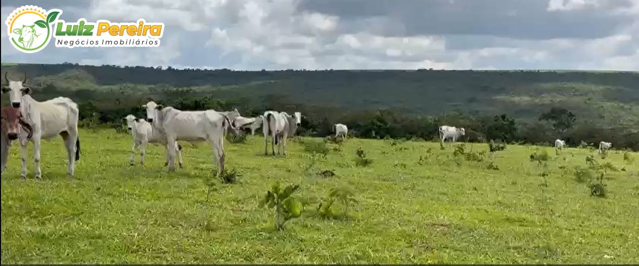 Terreno, 1006 m² - Foto 5