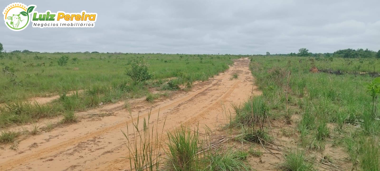 Terreno, 363 m² - Foto 4