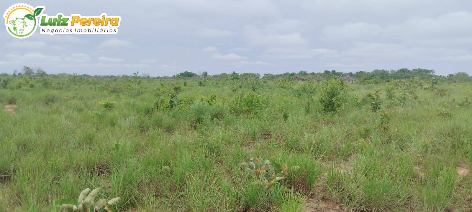 Terreno, 363 m² - Foto 1