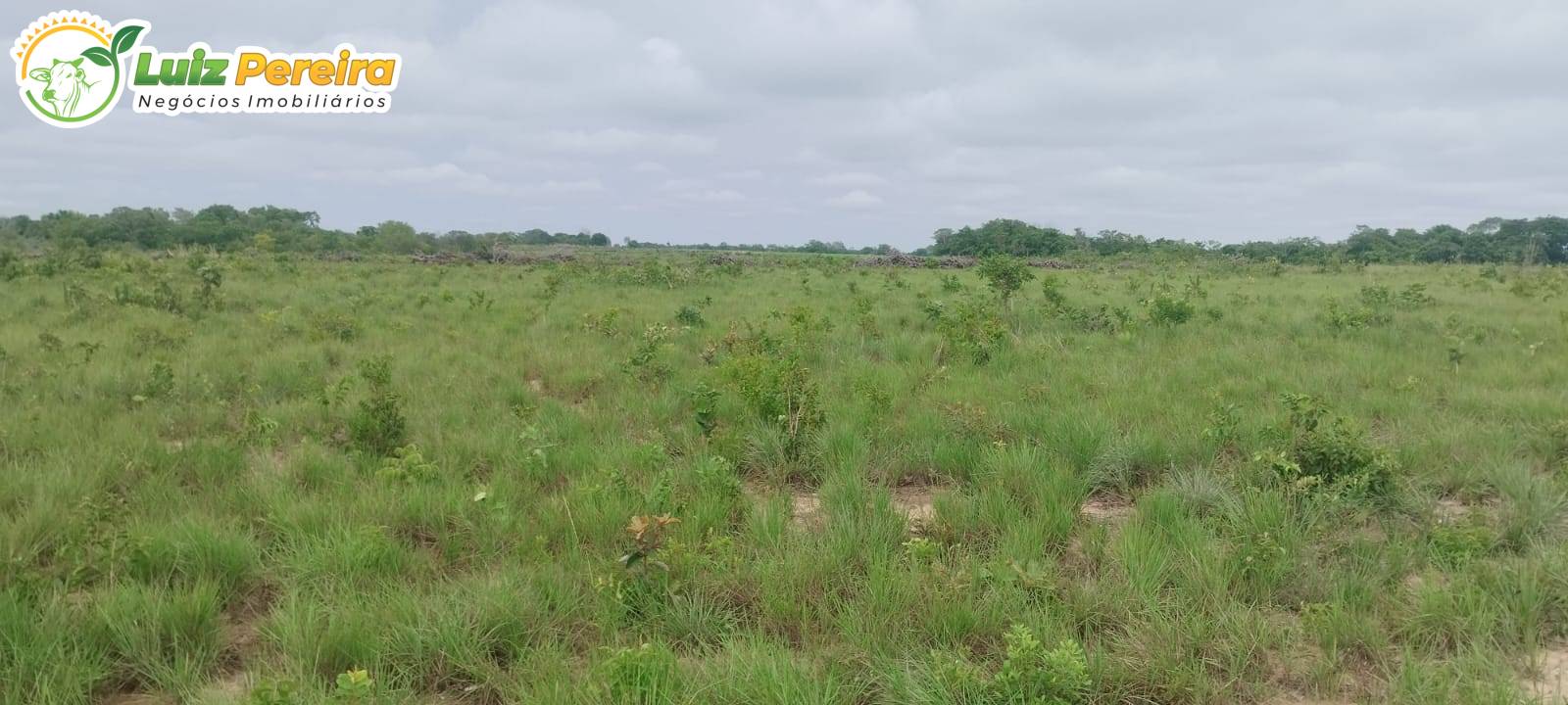 Terreno, 363 m² - Foto 2