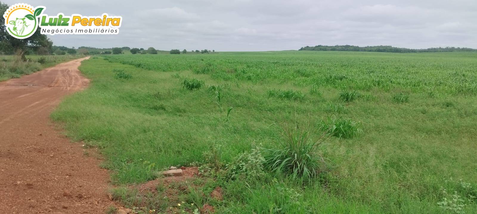 Terreno, 363 m² - Foto 3