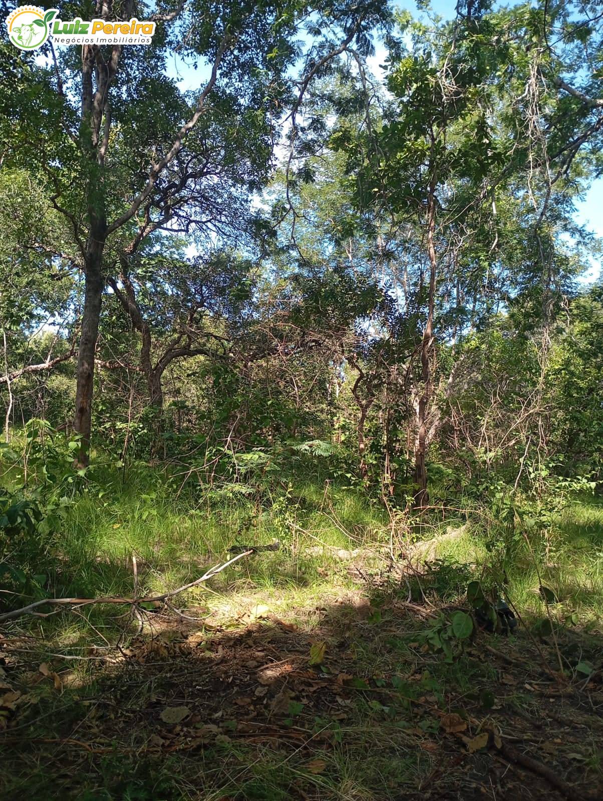 Terreno, 1400 m² - Foto 1