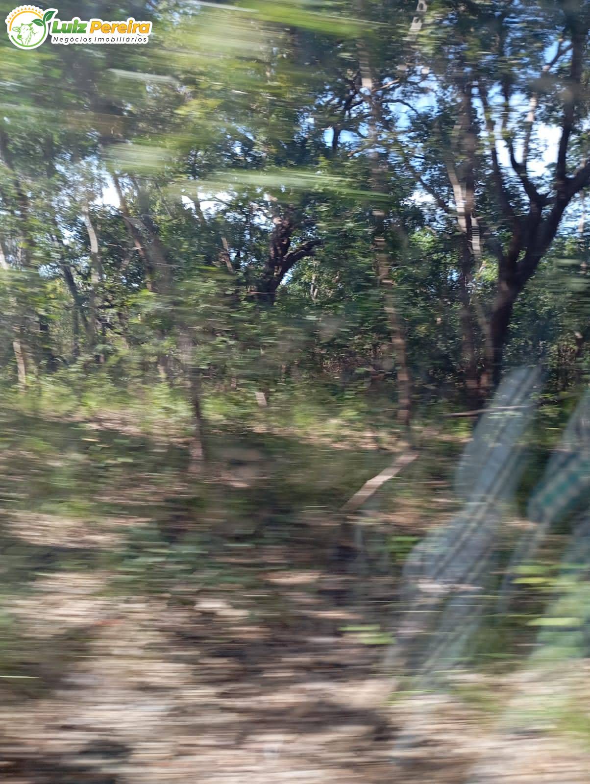 Terreno, 1400 m² - Foto 3