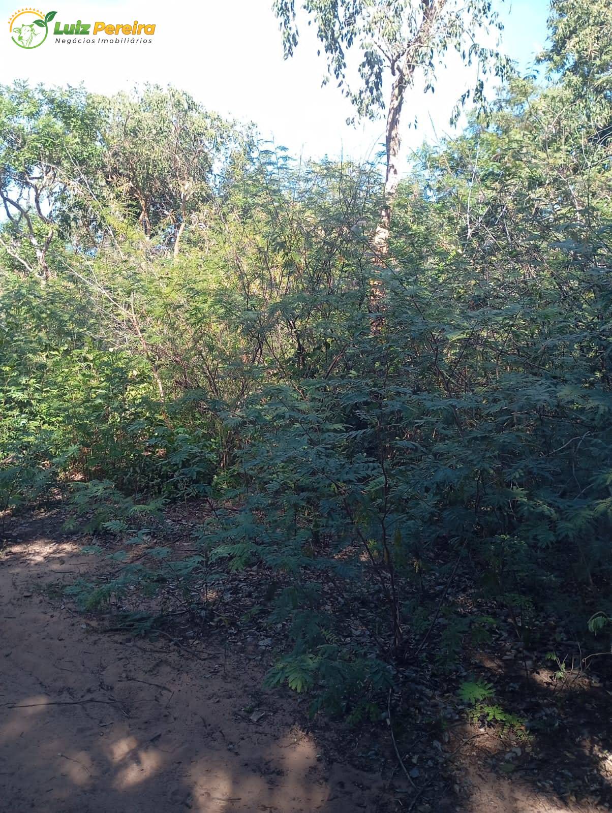 Terreno, 1400 m² - Foto 2