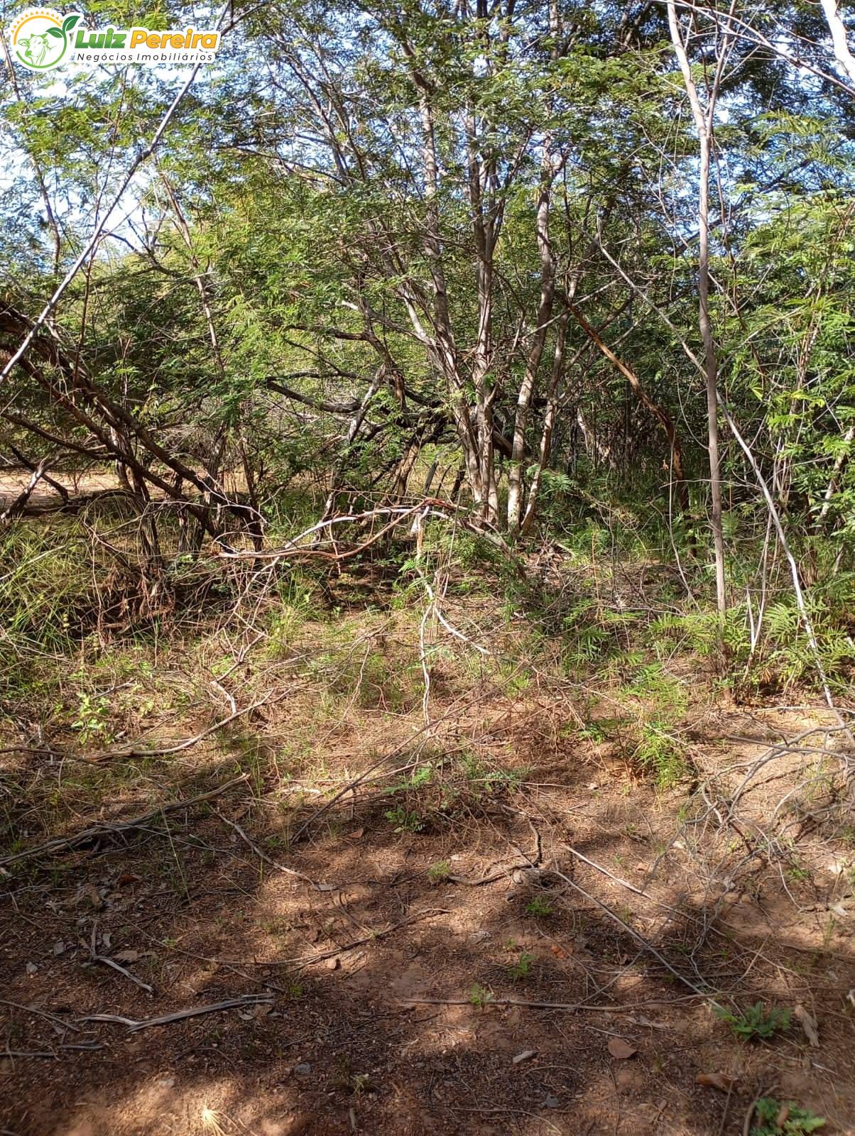 Terreno, 1400 m² - Foto 5