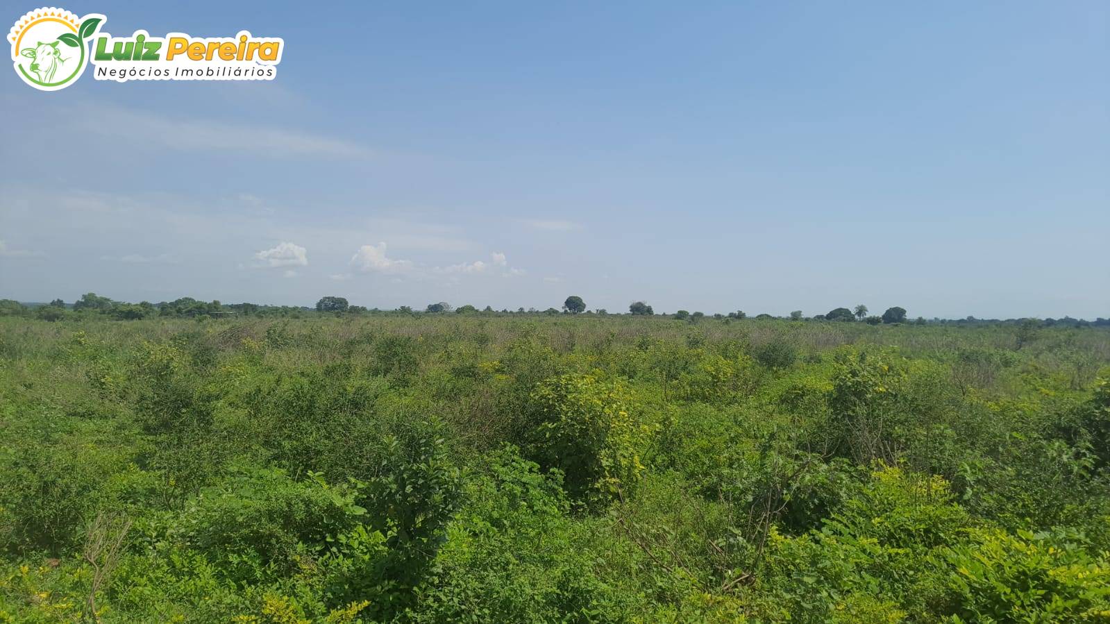 Terreno, 1936 m² - Foto 2