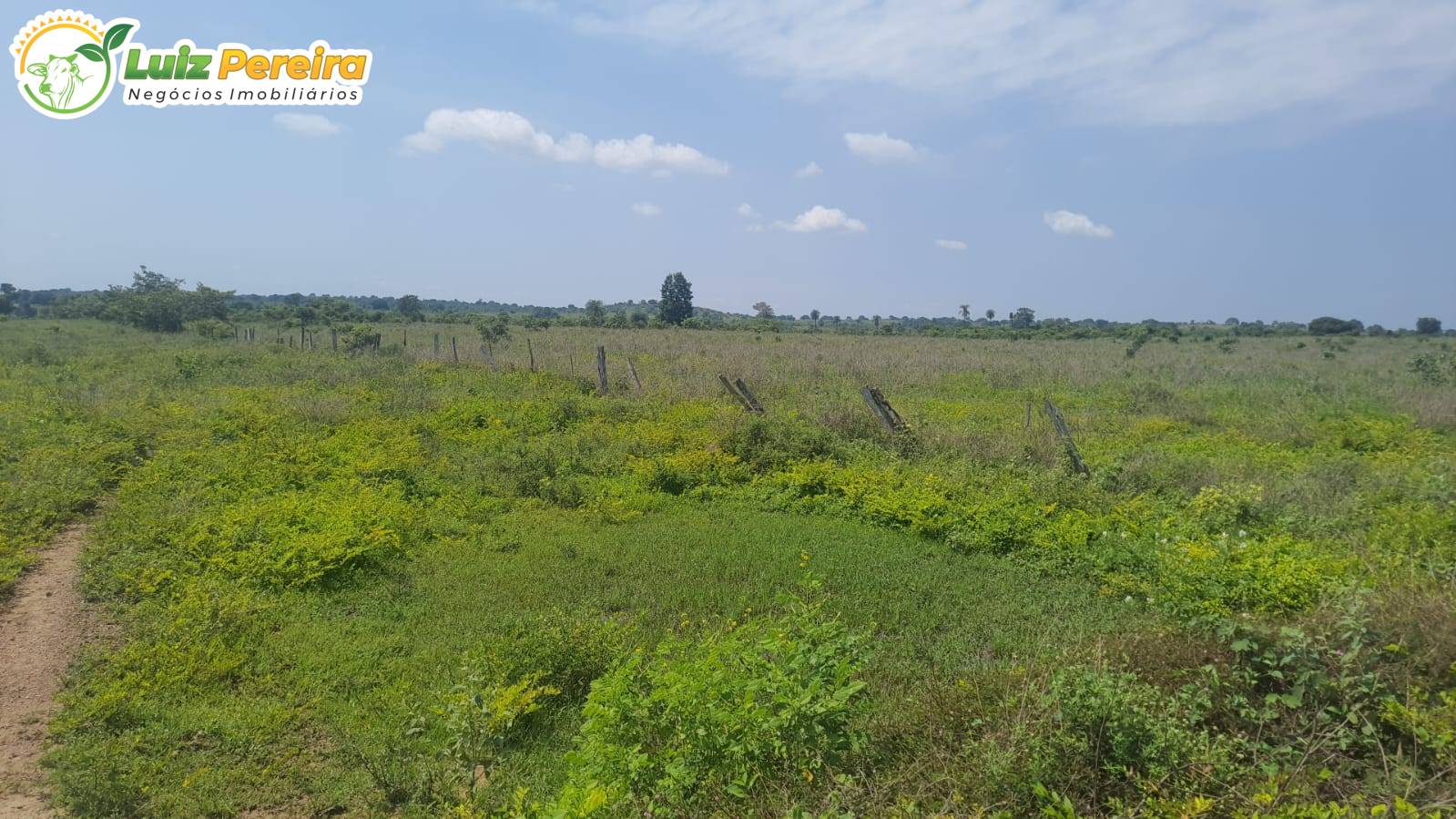 Terreno, 1936 m² - Foto 4