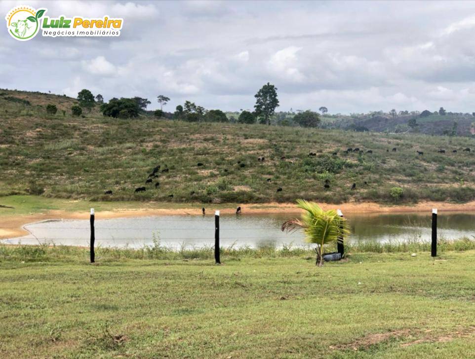 Terreno, 5595 m² - Foto 1