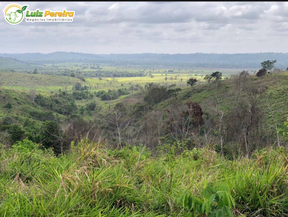 Terreno, 5595 m² - Foto 3