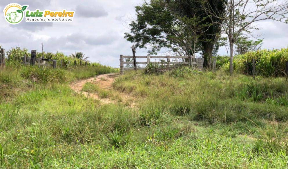 Terreno, 5595 m² - Foto 5