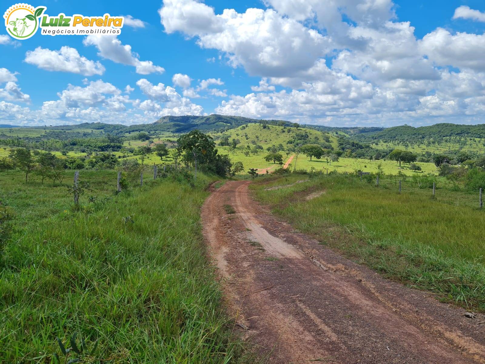 Terreno, 2000 m² - Foto 11