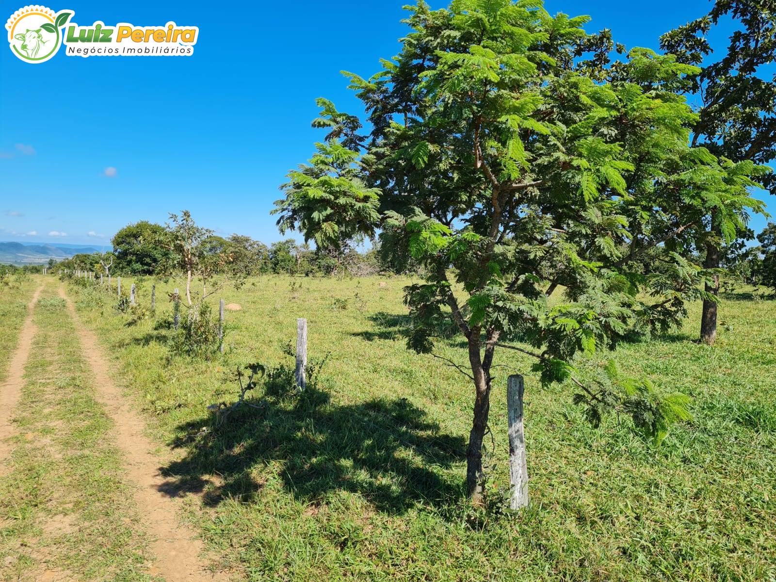 Terreno, 2000 m² - Foto 10