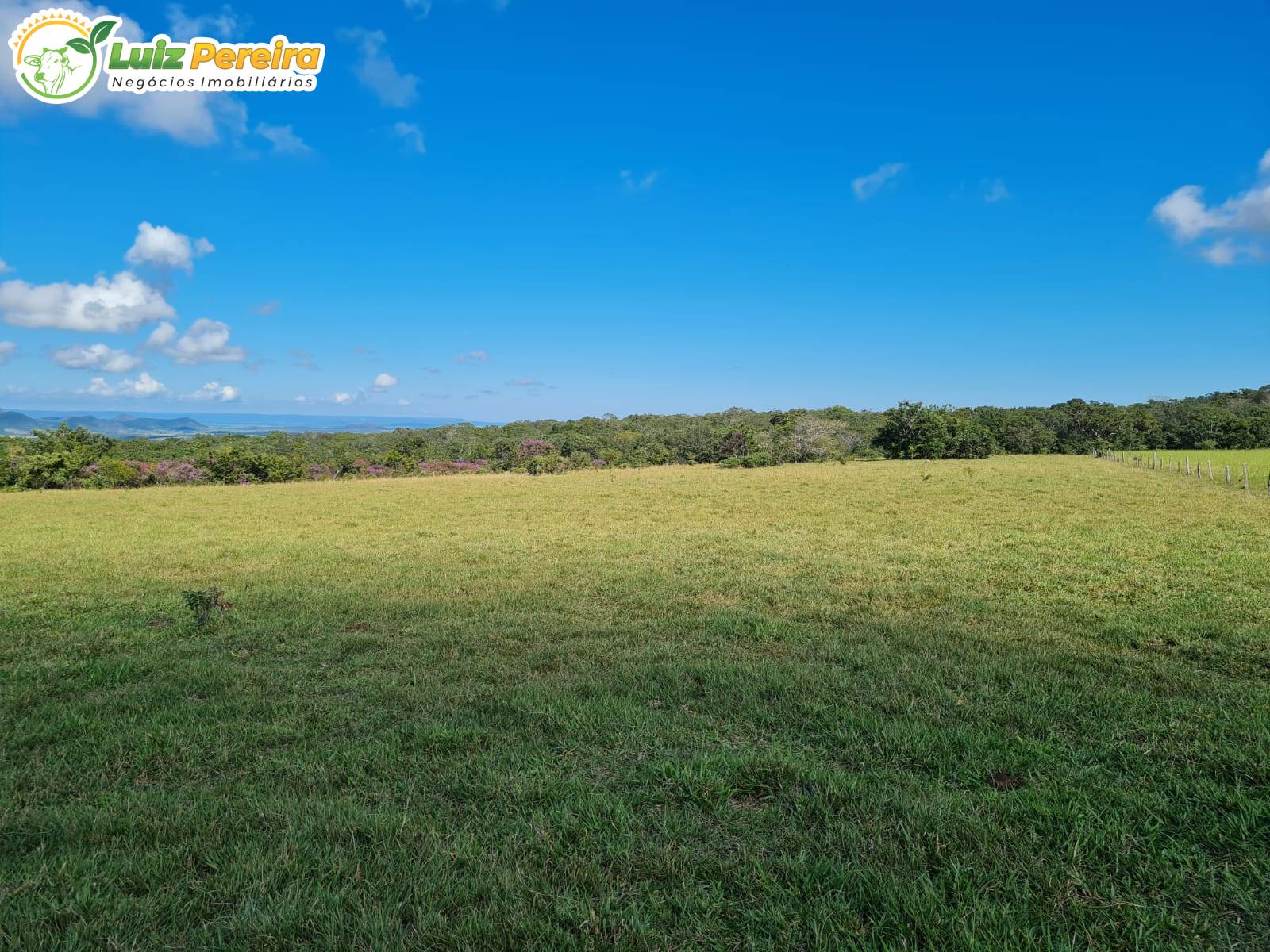 Terreno, 2000 m² - Foto 7