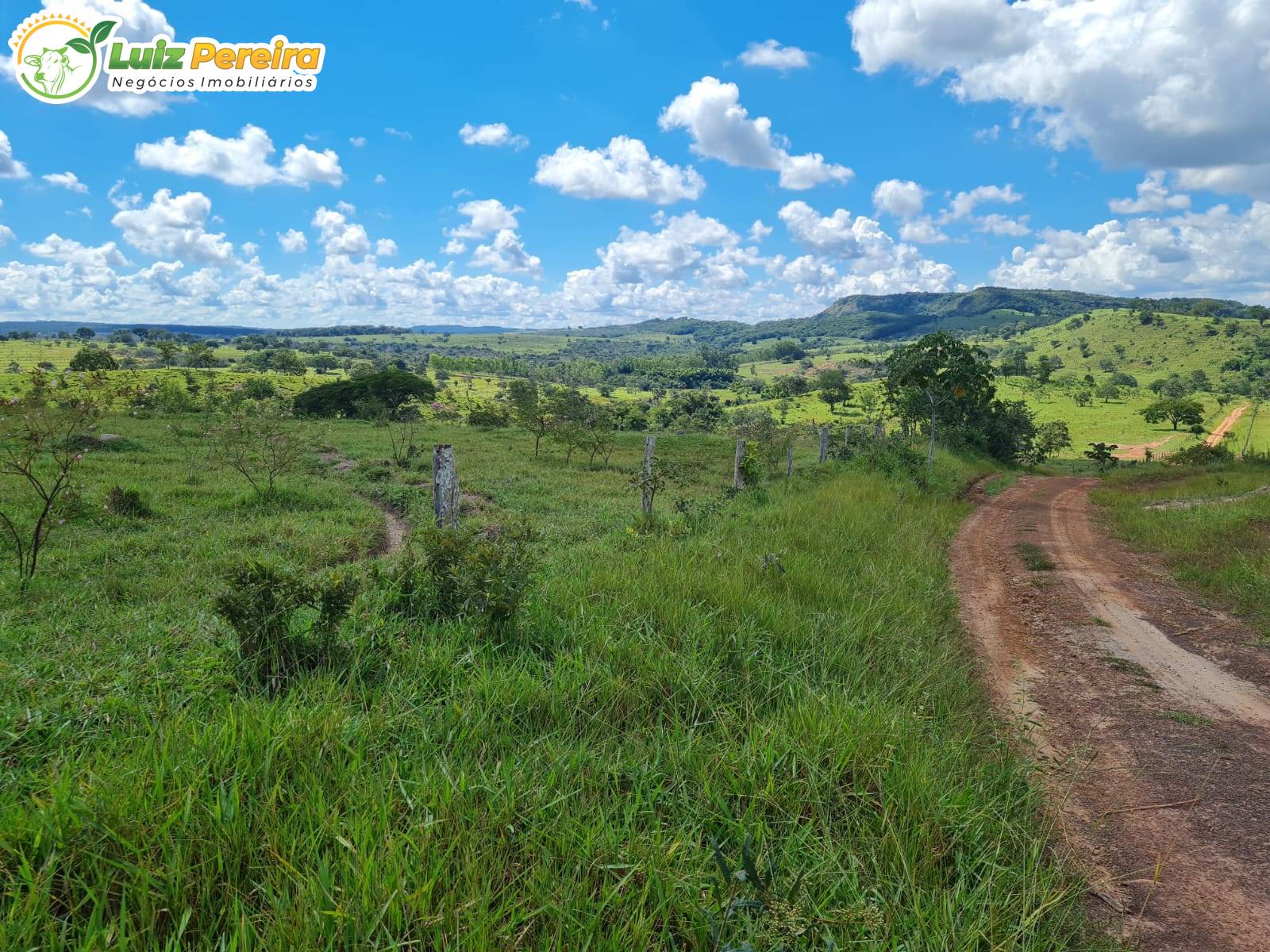 Terreno, 2000 m² - Foto 12