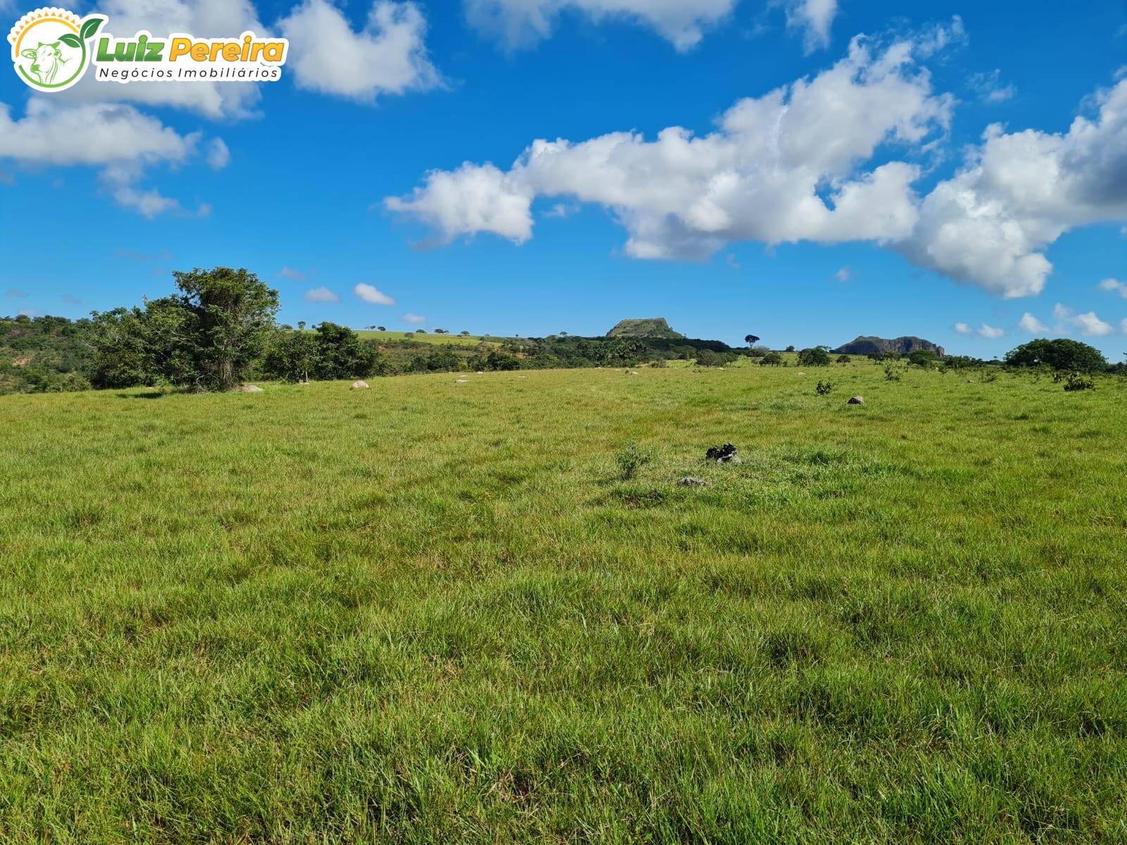 Terreno, 2000 m² - Foto 8