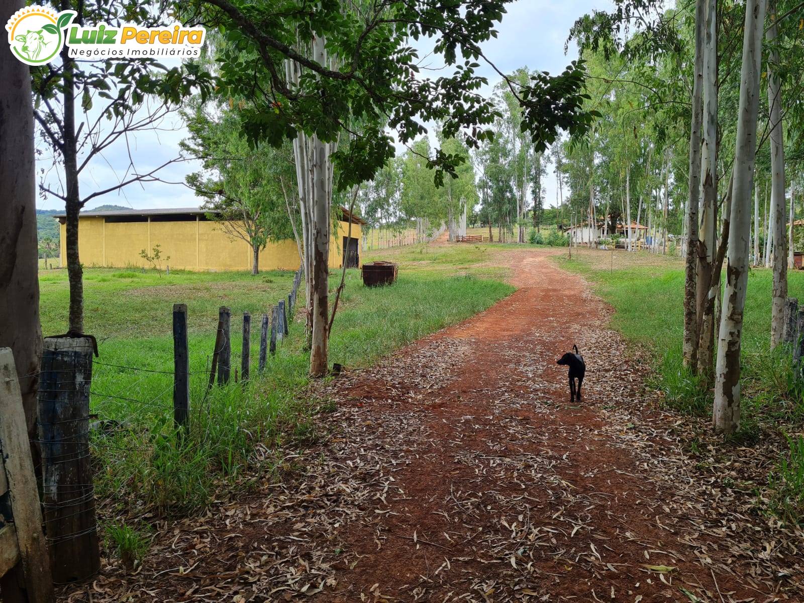 Terreno, 2000 m² - Foto 15