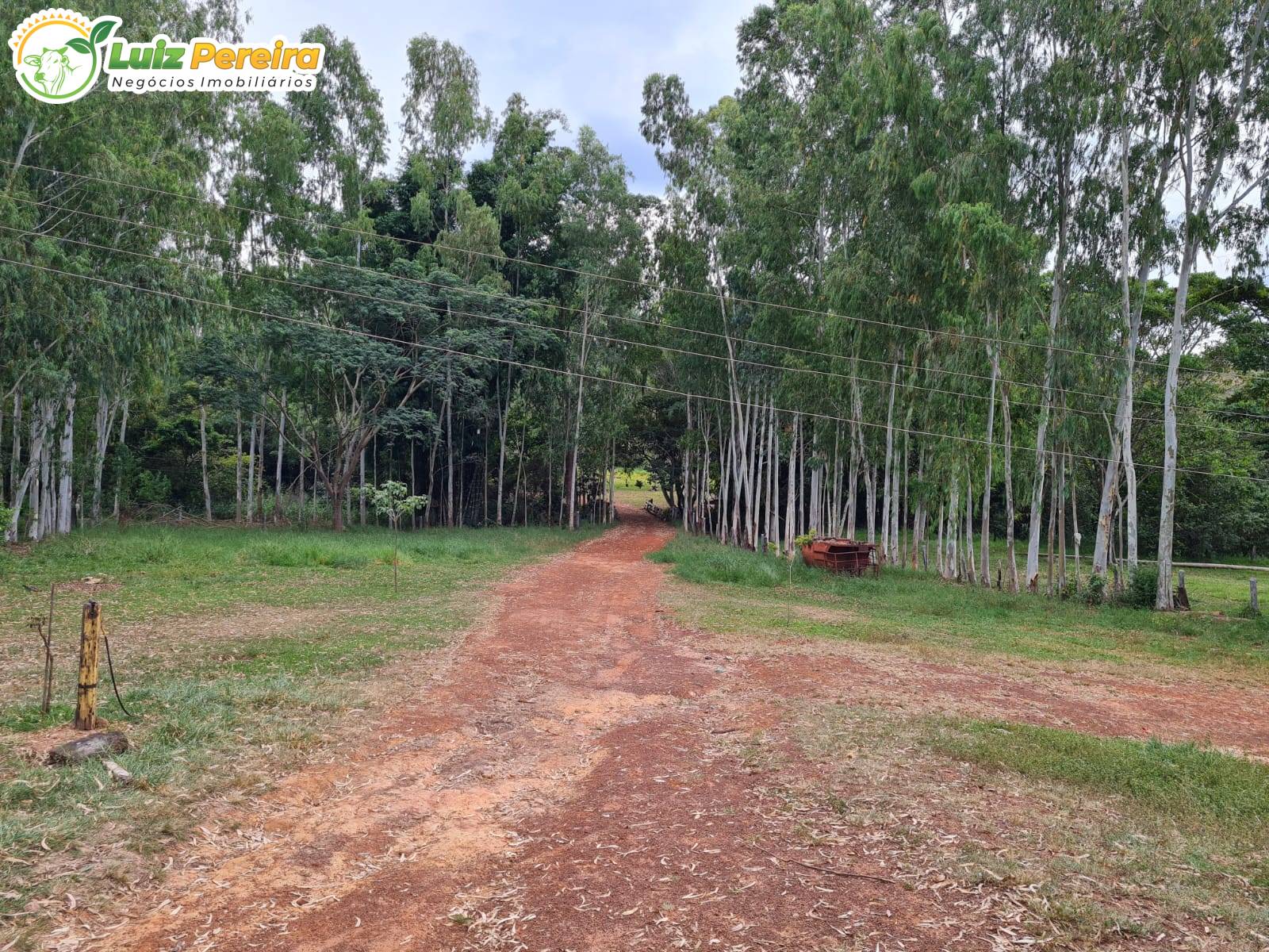 Terreno, 2000 m² - Foto 16