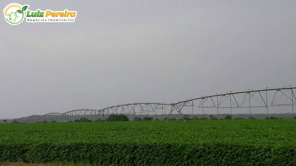 Terreno, 1745 m² - Foto 4