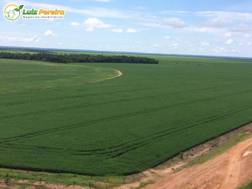 Terreno, 1745 m² - Foto 3