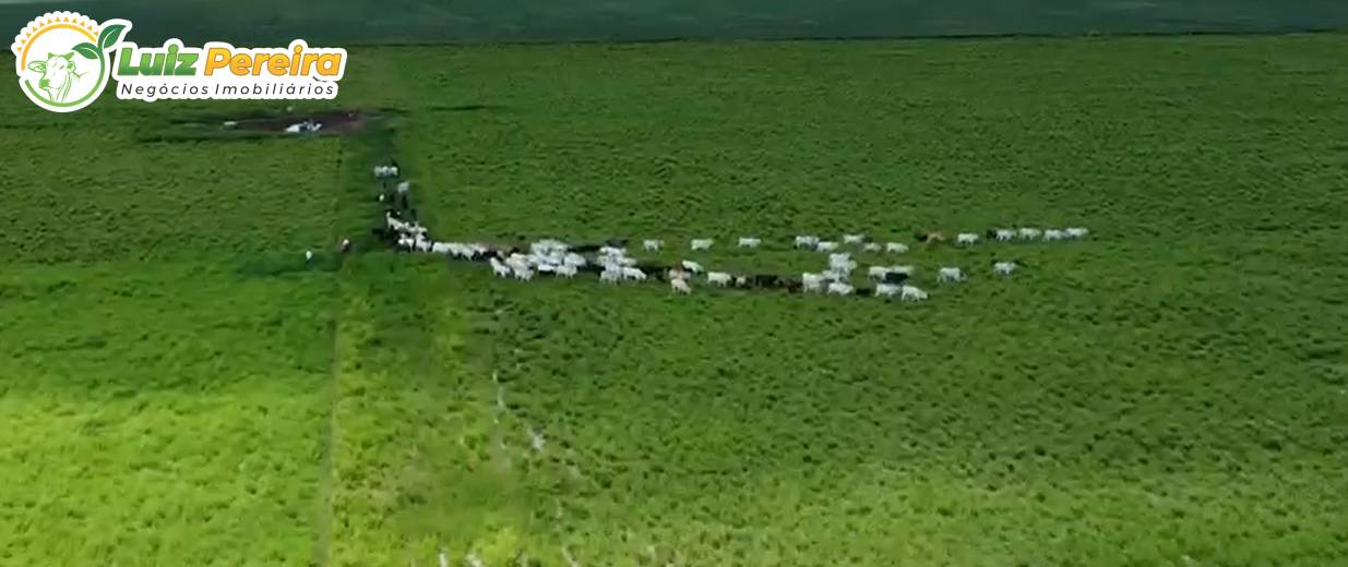 Terreno, 1745 m² - Foto 2