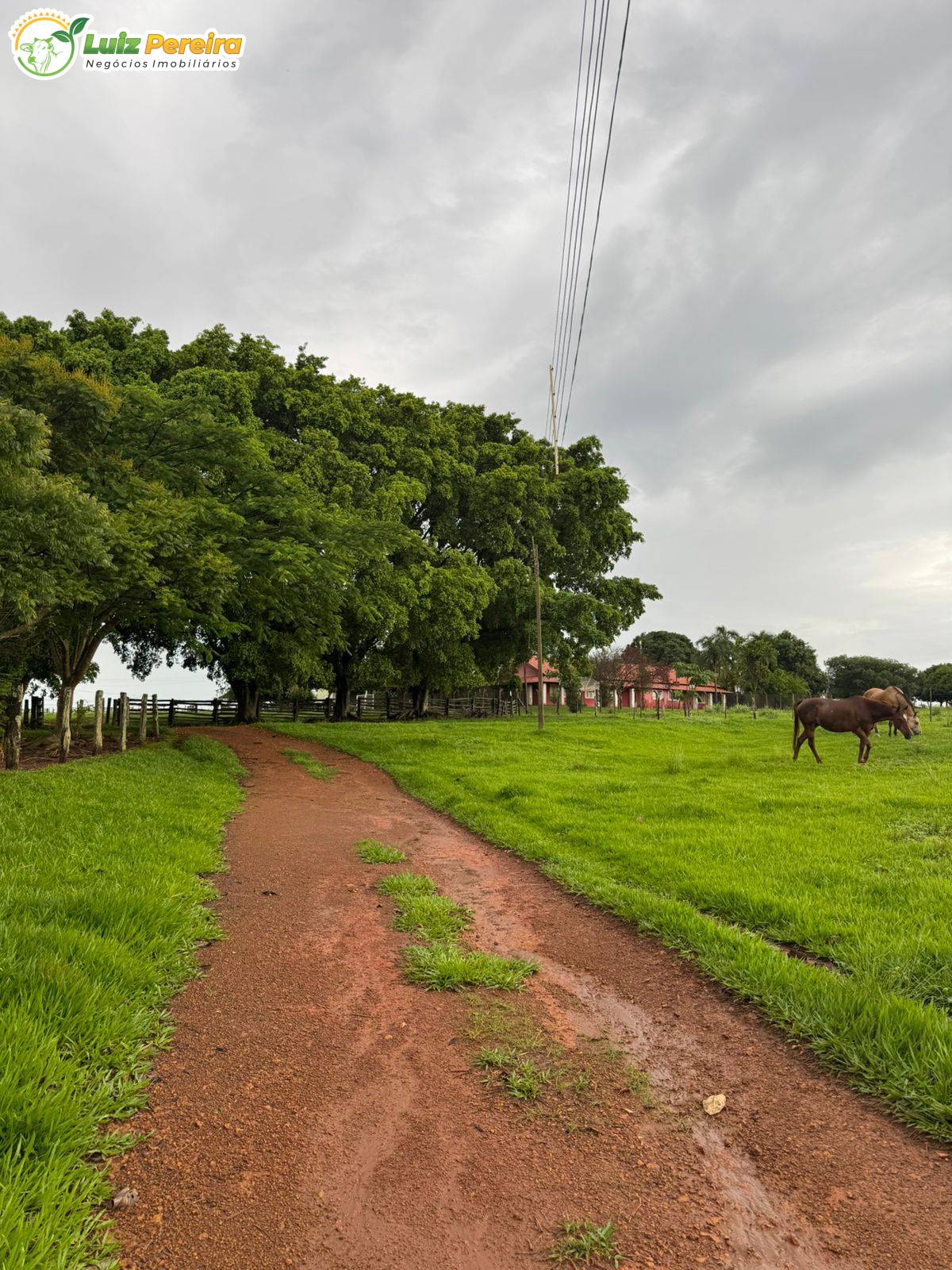 Terreno, 689 m² - Foto 2