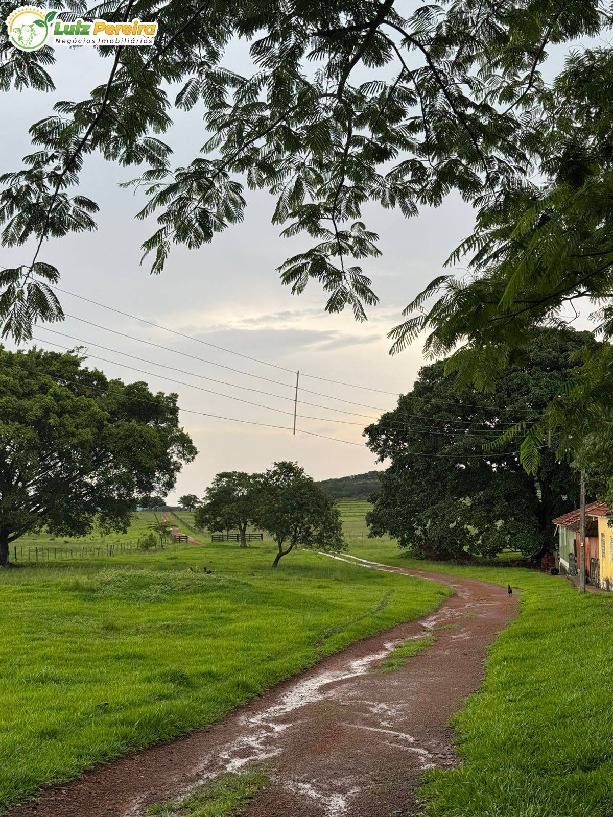 Terreno, 689 m² - Foto 5