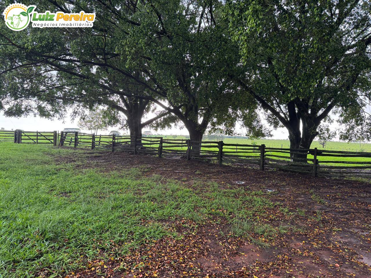 Terreno, 689 m² - Foto 4