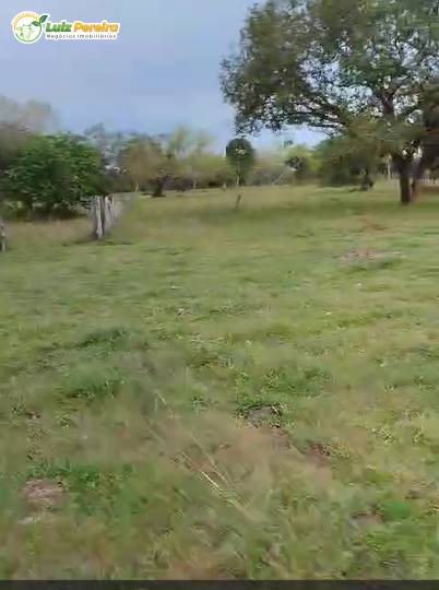 Terreno, 716 m² - Foto 4
