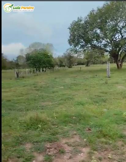 Terreno, 716 m² - Foto 3