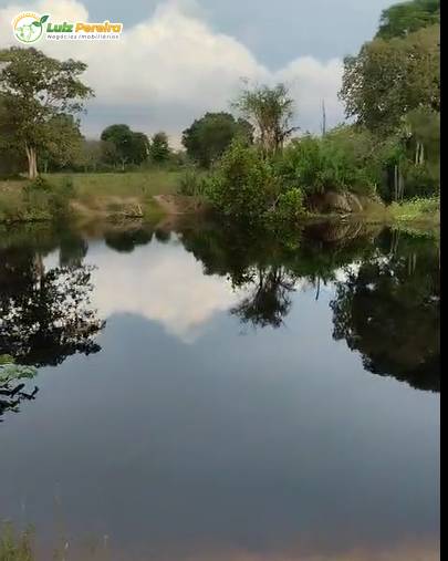 Terreno, 716 m² - Foto 5