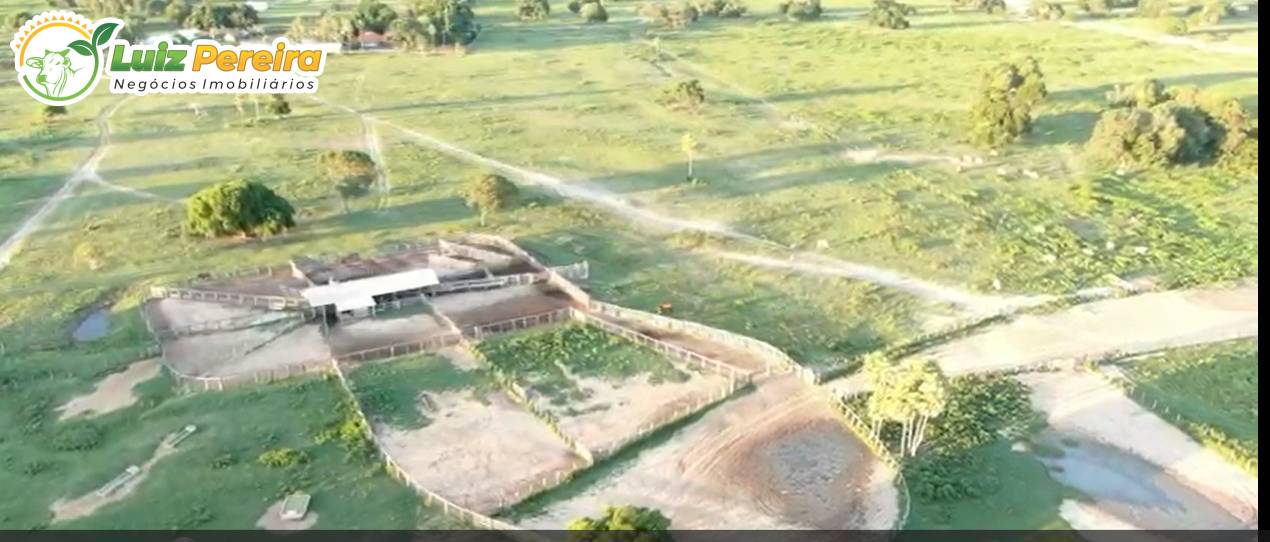 Terreno, 2 hectares - Foto 4