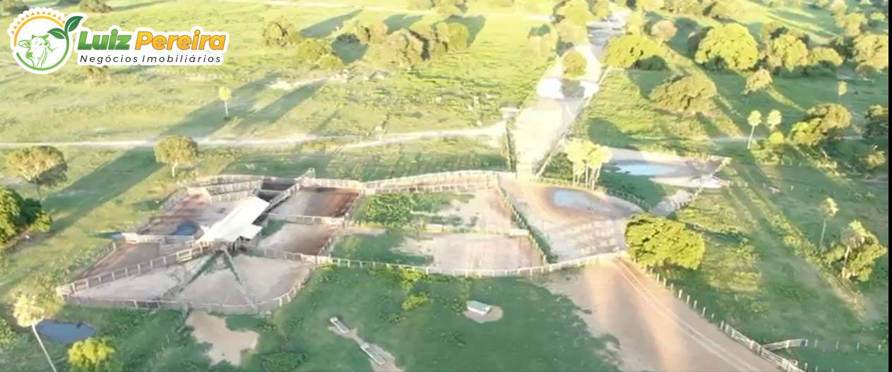 Terreno, 2 hectares - Foto 5