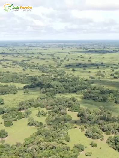 Terreno, 2 hectares - Foto 1