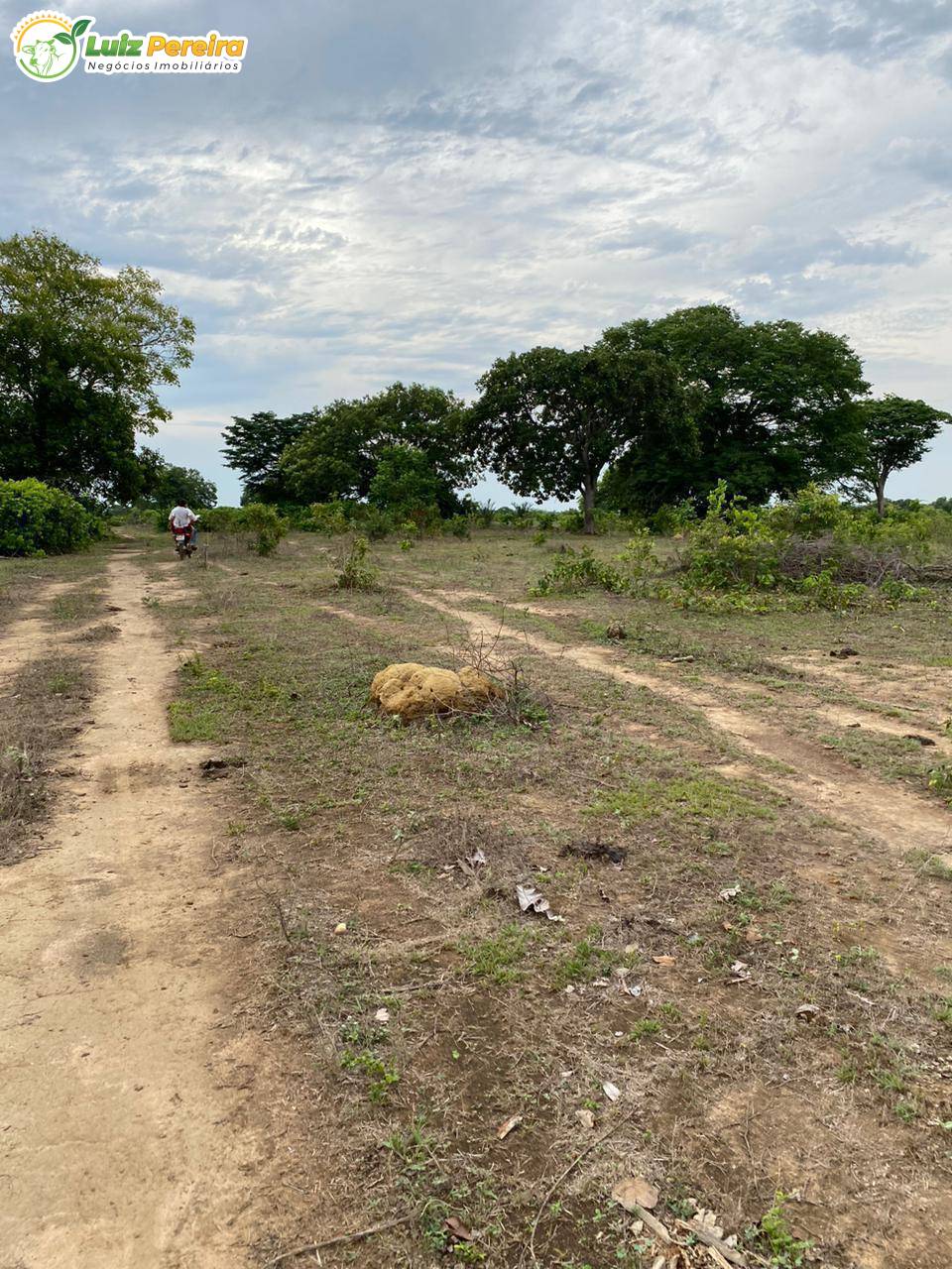 Terreno, 2623 m² - Foto 3