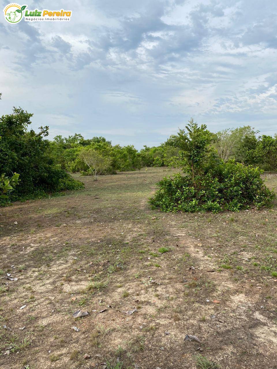 Terreno, 2623 m² - Foto 1