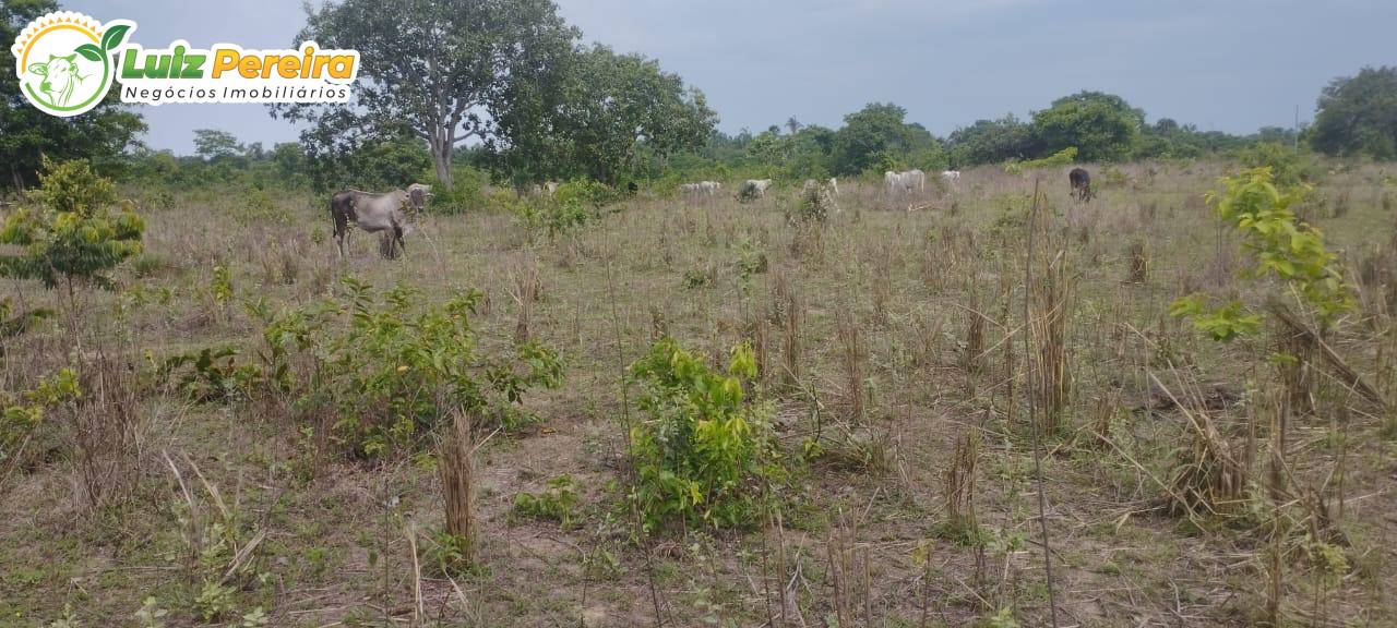 Terreno, 2623 m² - Foto 2