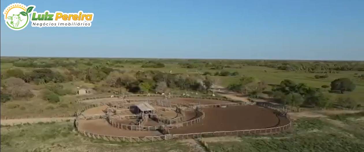 Terreno, 3 hectares - Foto 1