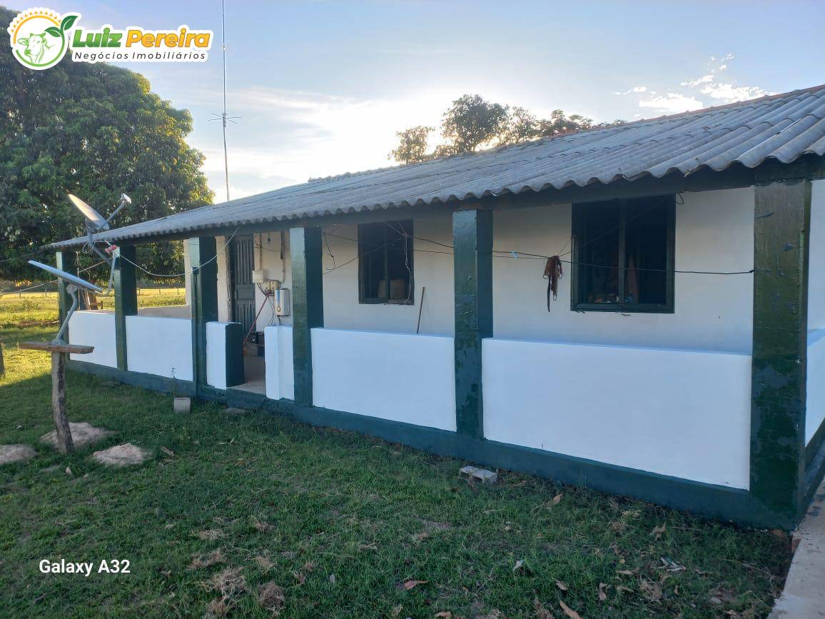 Terreno, 3 hectares - Foto 7