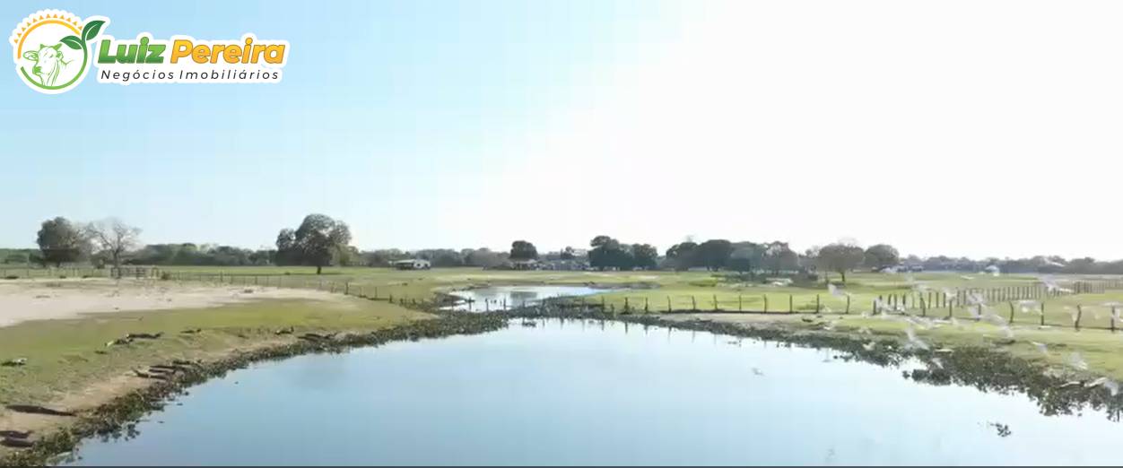 Terreno, 3 hectares - Foto 5