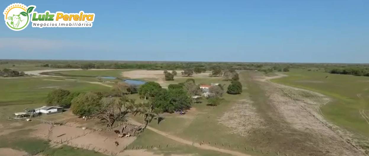 Terreno, 3 hectares - Foto 6