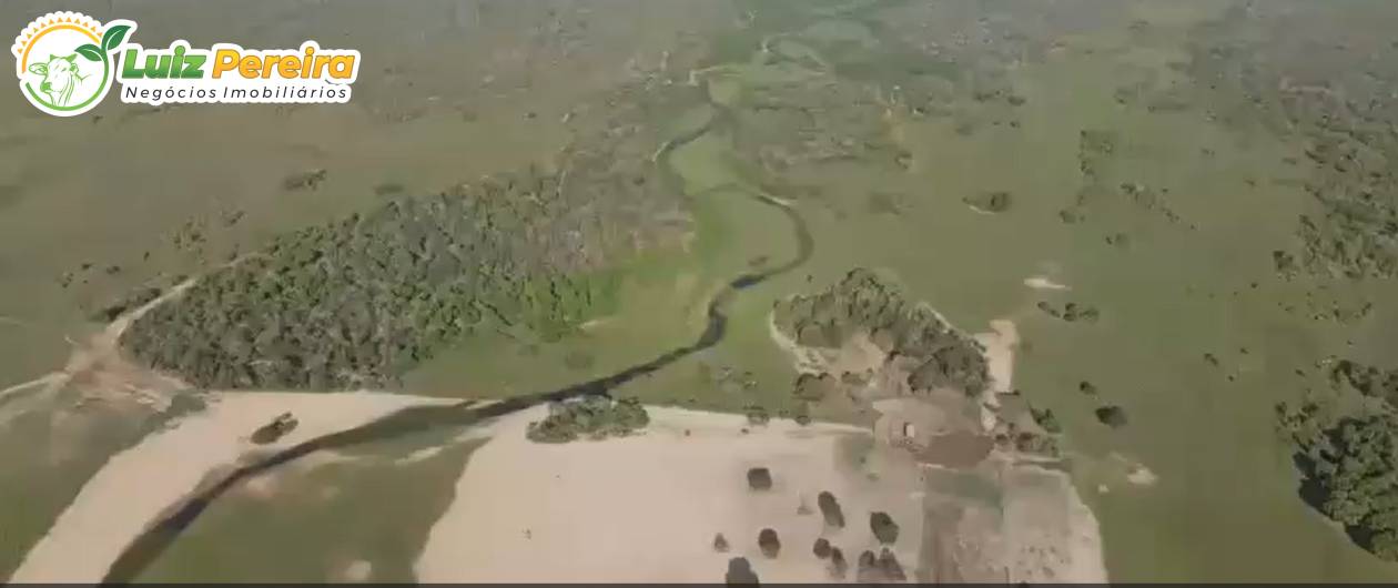 Terreno, 3 hectares - Foto 3