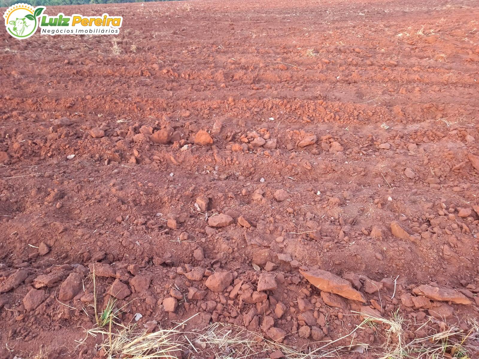 Terreno, 300 m² - Foto 4