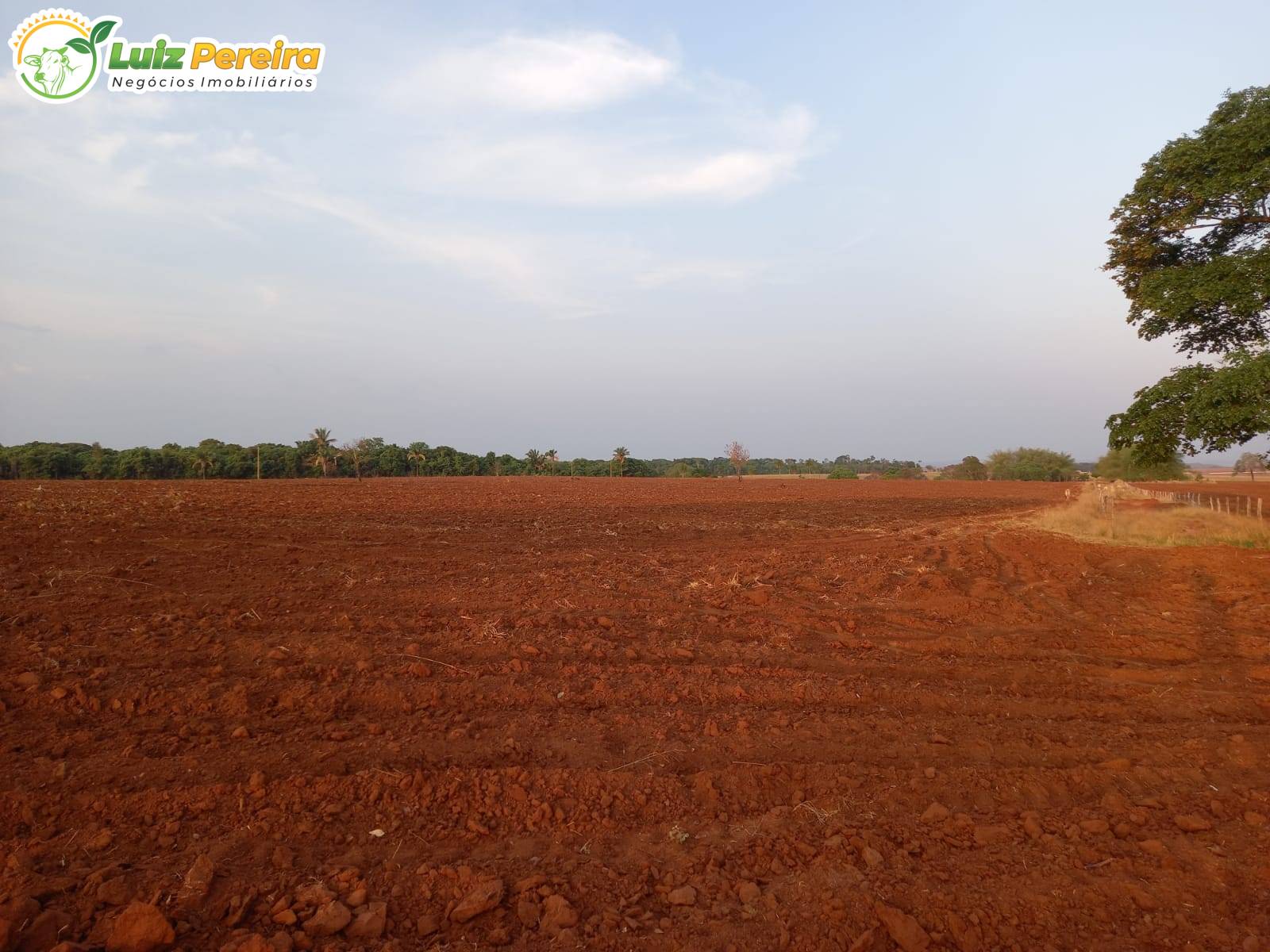 Terreno, 300 m² - Foto 5