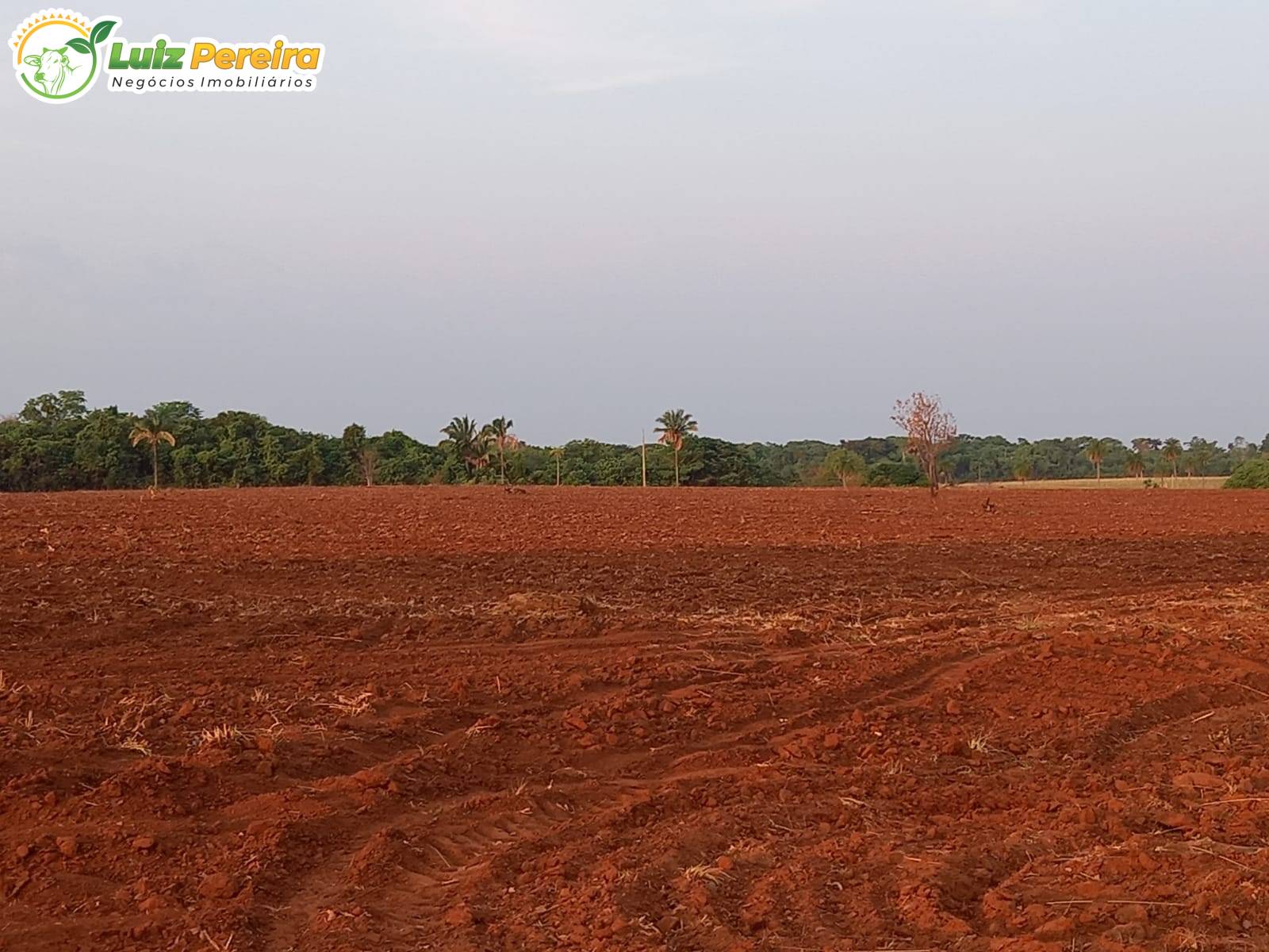 Terreno, 300 m² - Foto 3