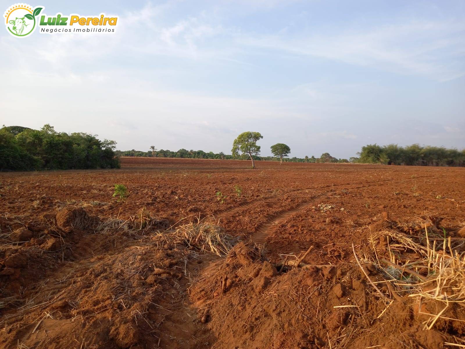 Terreno, 300 m² - Foto 1