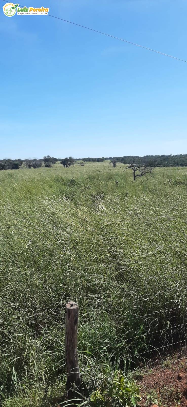 Terreno, 435 m² - Foto 4