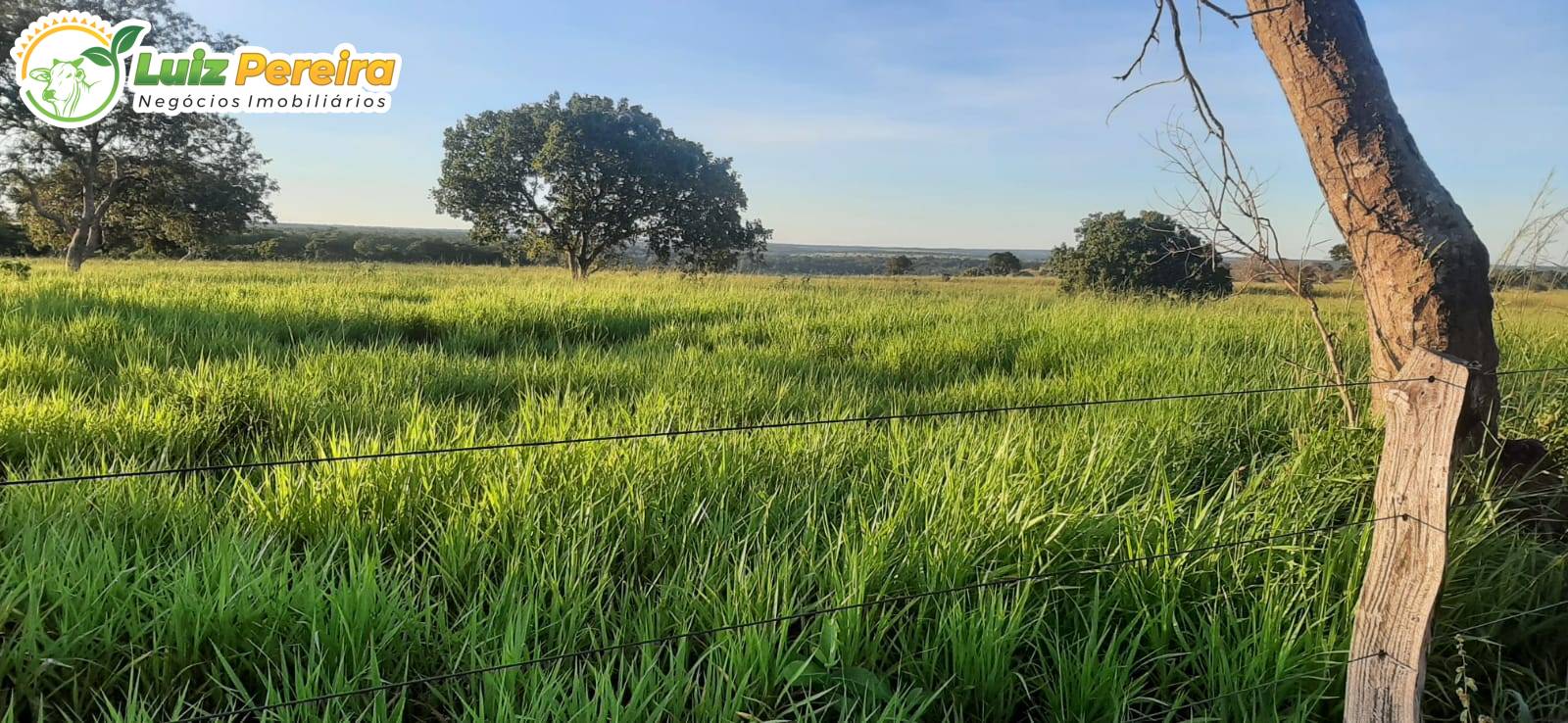 Terreno, 435 m² - Foto 3