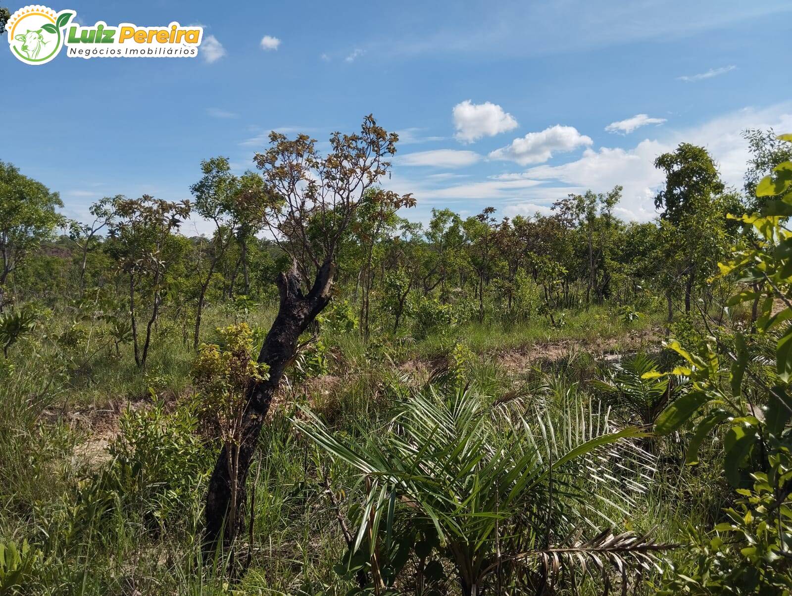 Terreno, 527 m² - Foto 3