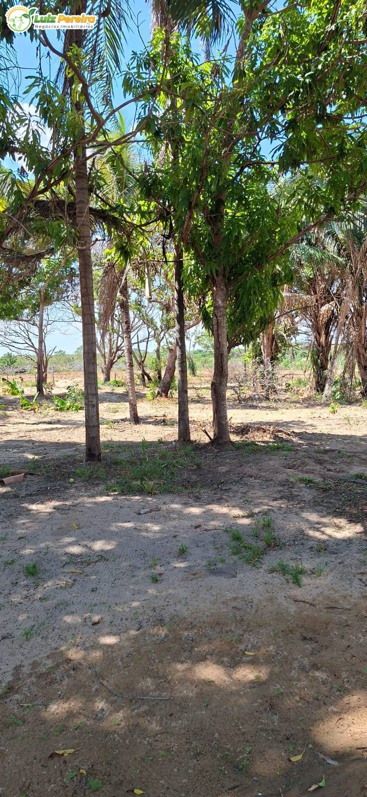 Terreno, 1108 m² - Foto 2